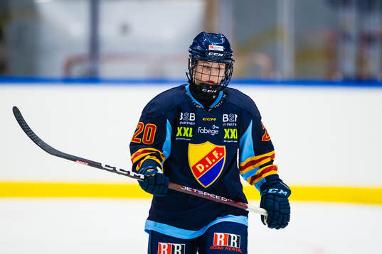 Djurgårdens Brette Pettet