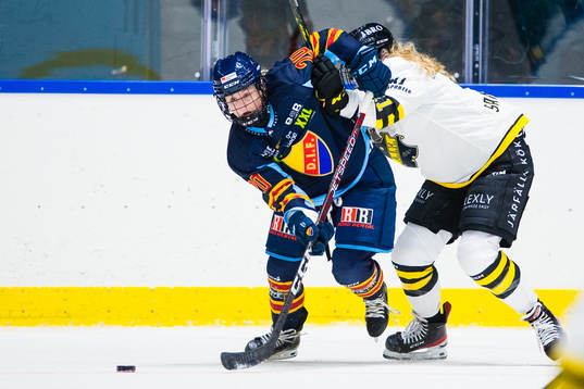 Djurgårdens Brette Pettet
