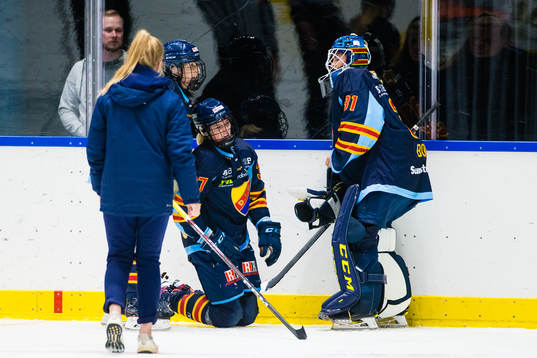 Djurgårdens Josefine Holmgren har ont