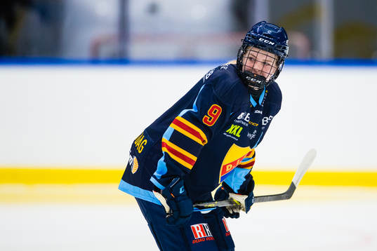 Djurgårdens Linnea Natt och Dag