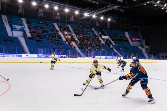 Hovet
