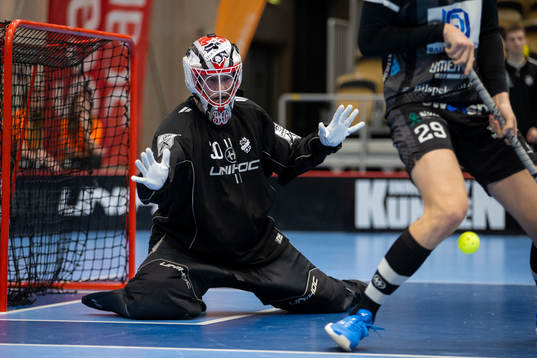 Dalens målvakt Anton Grönlund