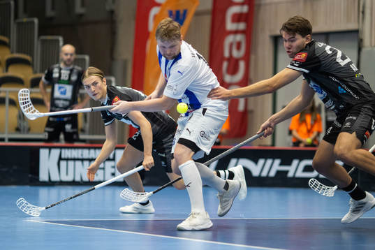 Helsingborgs Max Wahlgren