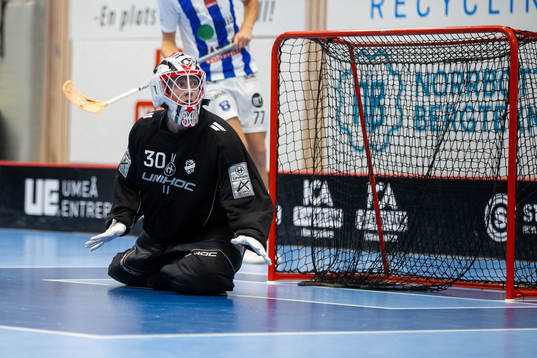 Dalens målvakt Anton Grönlund