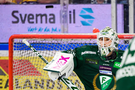 Färjestads målvakt Matthew Tomkins