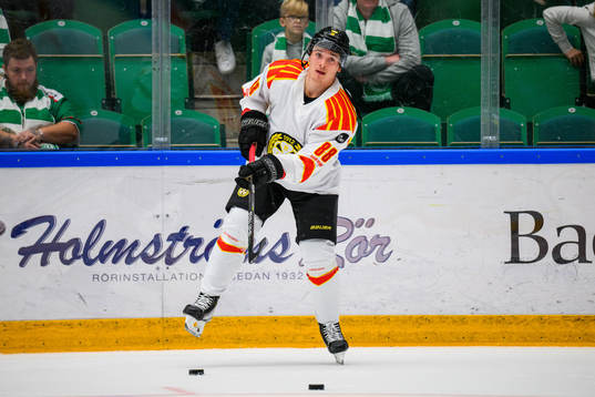 Brynäs Dmytro Timashov