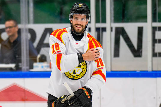 Brynäs Oula Palve