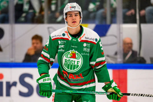 Rögles William Wallinder