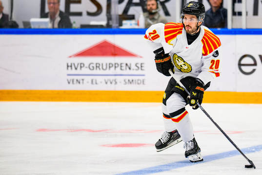 Brynäs Oula Palve