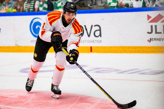 Brynäs Niklas Friman
