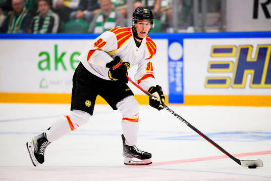 Brynäs David Sklenicka