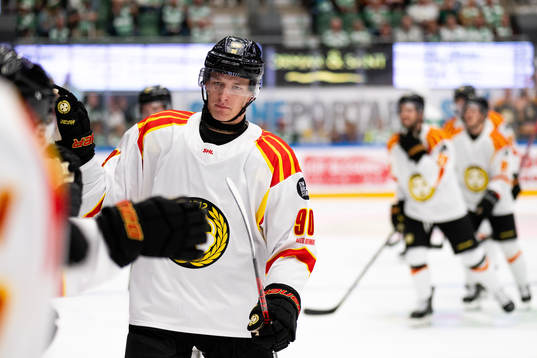 Brynäs David Sklenicka jublar