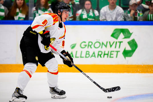 Brynäs Dmytro Timashov