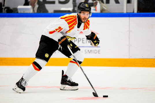 Brynäs Oula Palve