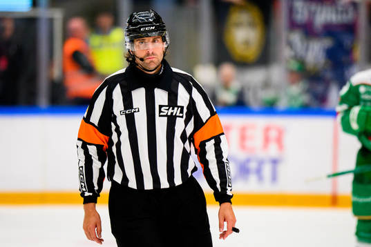 Domare Mikael Sjöqvist