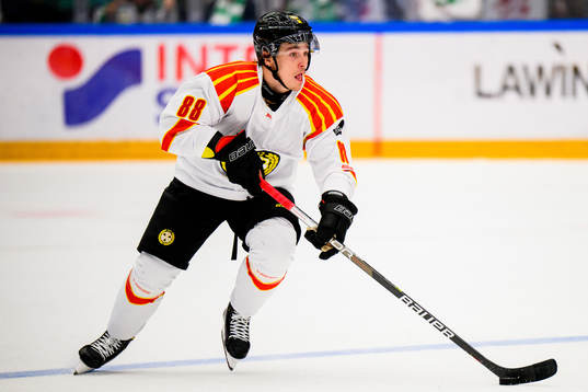 Brynäs Dmytro Timashov