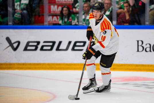 Brynäs David Sklenicka