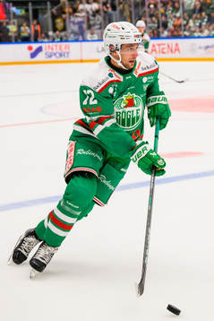 Rögles Daniel Zaar