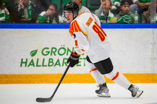 Brynäs Dmytro Timashov