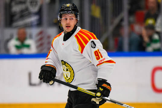 Brynäs Nick Olesen