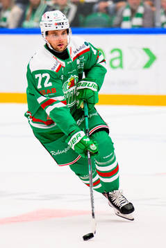 Rögles Daniel Zaar