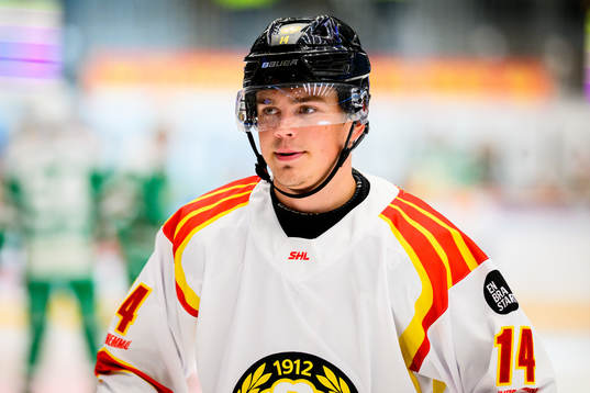 Brynäs Alexander Ljungkrantz