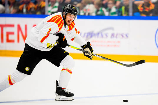 Brynäs Niklas Friman