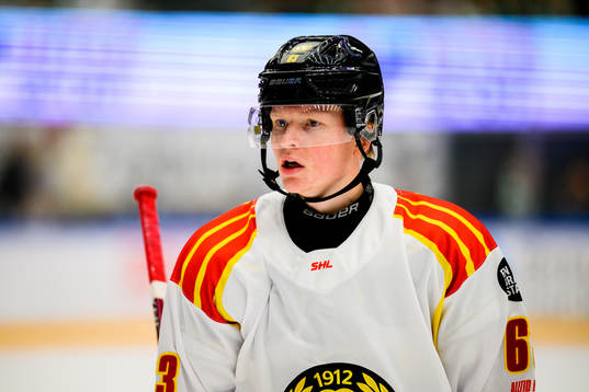 Brynäs Julius Bergman