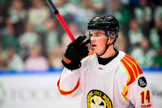 Brynäs Alexander Ljungkrantz