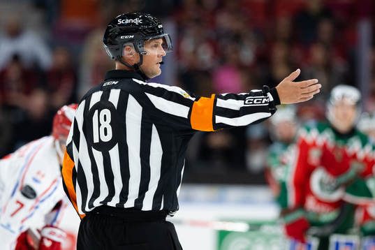 Domare Mikael Nord