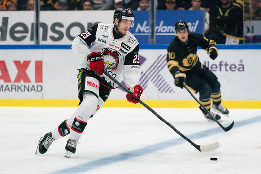 Malmö Redhawks Eric Engstrand och Skellefteås Joakim