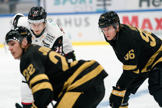 Malmö Redhawks Eric Engstrand och Skellefteås Rickard Hugg