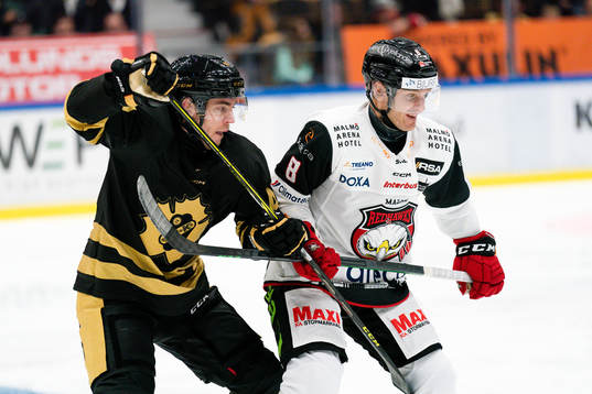 Skellefteås Andreas Wingerlioch Malmö Redhawks Johan