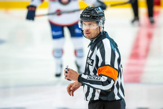 Domare Johan Magnusson
