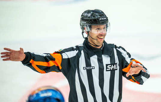 Domare Johan Magnusson