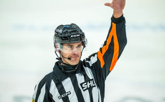 Domare Richard Magnusson