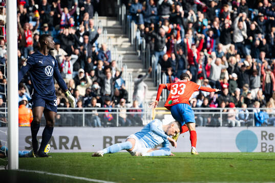Helsingborgs Amar Muhsin jublar