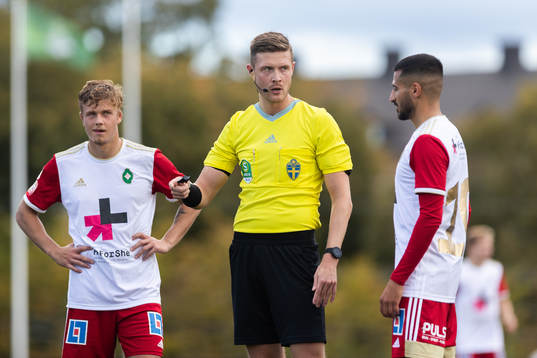 Domare Erik Mattsson