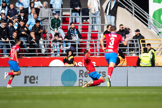 Helsingborgs Amar Muhsin jublar