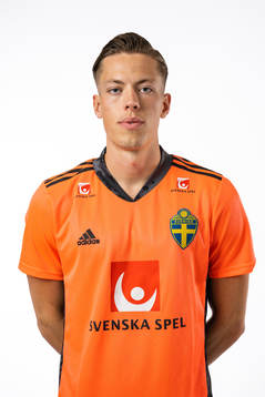 Goalkeeper Leopold Wahlstedt of the Swedish national
