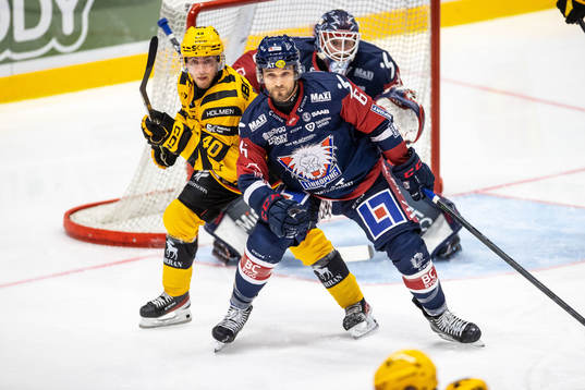 Skellefteås Andreas Wingerli och Linköpings Craig Schira