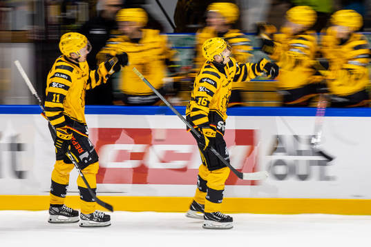 Skellefteås Max Lindholm och Linus Lindström jublar