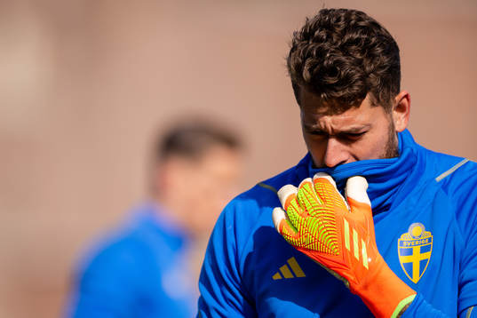 Goalkeeper Kristoffer Nordfeldt