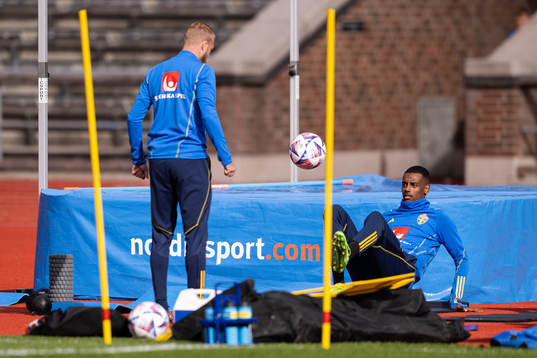 Daniel Sundgren and Alexander Isak
