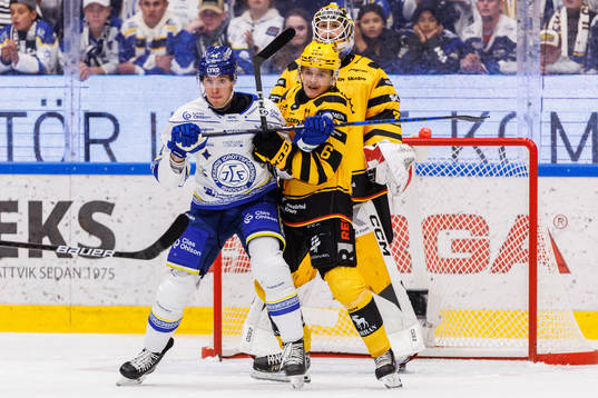 Leksands Carter Ashton och Skellefteås Måns Forsfjäll