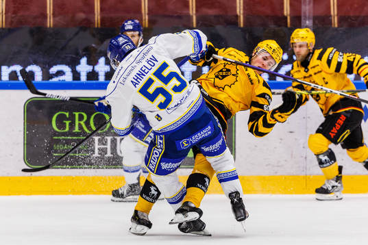 Leksands Jonas Ahnelöv och Skellefteås Rickard Hugg