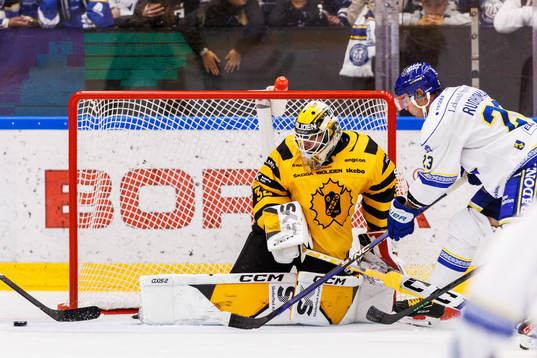 Skellefteås målvakt Linus Söderström och Leksands