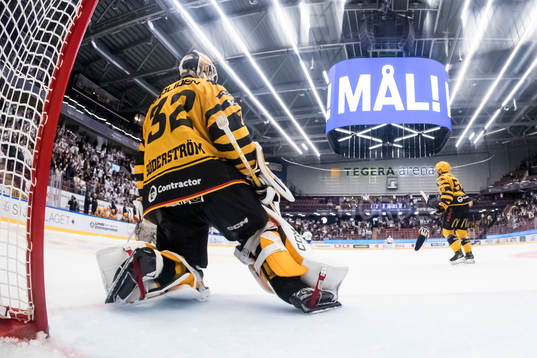 Skellefteås målvakt Linus Söderström depp