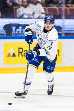 Leksands Lian Bichsel