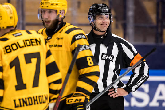 Domare Mikael Andersson
